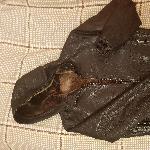 Продается кожаная мужская куртка (осень-зима)